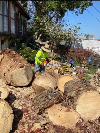 Heartwood Tree Service Corp