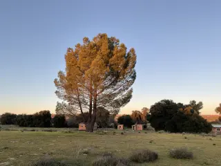 Lots & Tiny homes for Sale Gated Community at Tecate