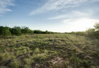 11 acres Clay County | $5,500 de enganche | $1,188/mes | 10 min de Wichita Falls