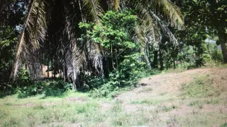 Propiedad en Venta en Matapalo de Quepos