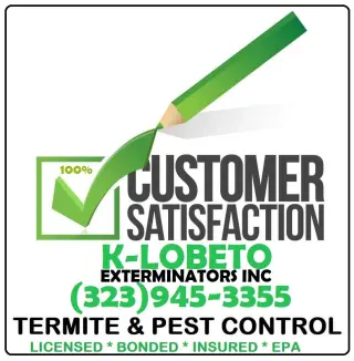FUMIGACIONES 24/7.- RESIDENCIALES Y COMERCIALES.-