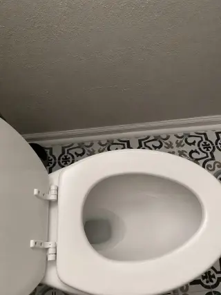 rento casa