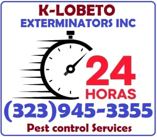 FUMIGACIONES TERMITAS ~ EXTERMINACIONES PLAGAS
