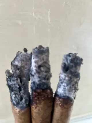 Lectura de Tabaco Ancestral