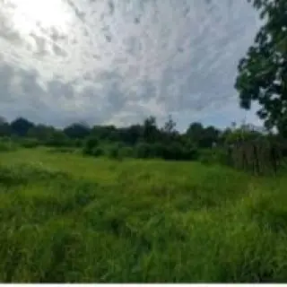 Se vende amplio terreno en Tocumen