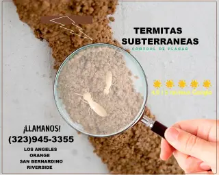 FUMIGACION TERMITAS MAYWOOD