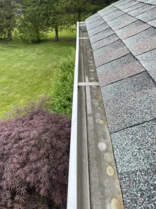 PREMIUM GUTTER CLEANING SERVICES