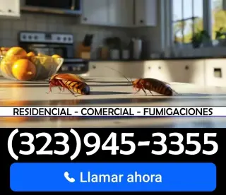 FUMIGACIONES - EXTERMINADORES MAYWOOD 24/7.-
