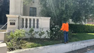 Se buscan Jardineros para mantenimiento