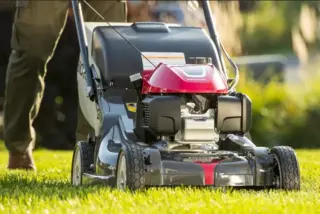 Se busca ayudante - Jardinero/Landscaper