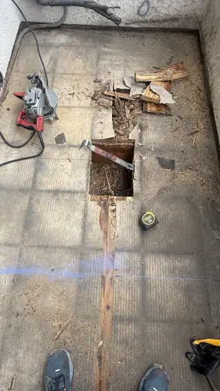 Servicios de Reparación de Daños en Madera