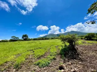 Great & Affordable, Lot A
