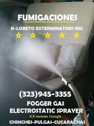 FUMIGACIONES TERMITAS ~ EXTERMINACIONES PLAGAS