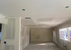 PROFESSIONAL PAINTER AND DRYWALL REPAIR