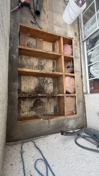 Servicios de Reparación de Daños en Madera