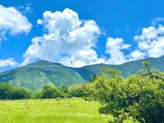 Great & Affordable, Lot A