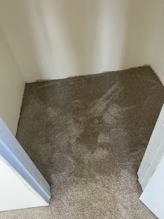 Carpet Installation Services
