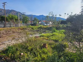 Reconstruccion Altadena/Palisades