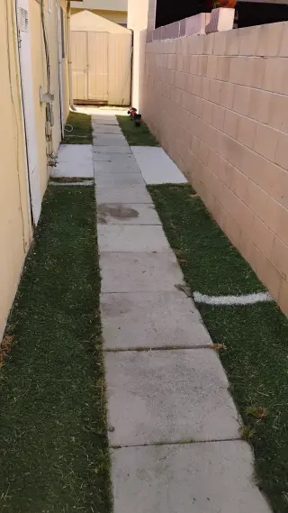 Corte de pasto limpieza con sopladora
