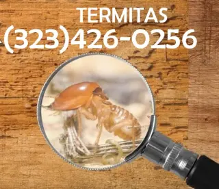 FUMIGACIONES TERMITAS EAST LOS ANGELES
