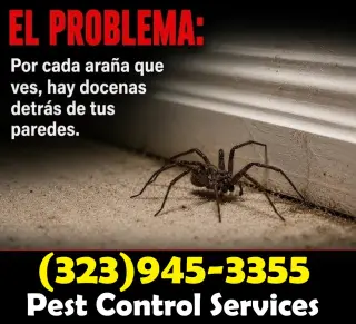 FUMIGACIONES ~ EXTERMINADORES PLAGAS
