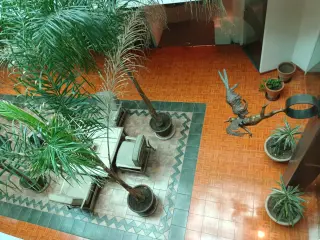 RENTO OFICINA EJECUTIVAS