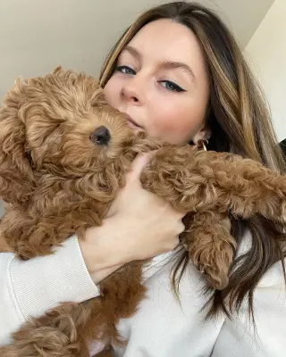 Adorables Cachorros en Adopción