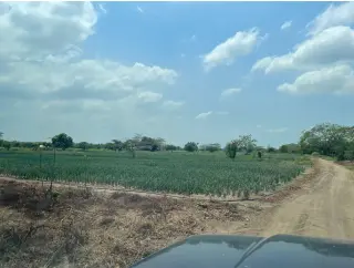 Predio Rural 3ha, frente río Magdalena, Barranquilla a 10Km -  $230.000 COP/m2