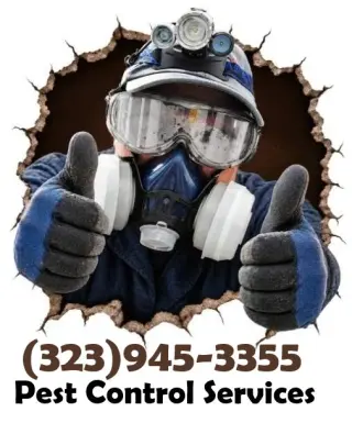 FUMIGACIONES TERMITAS ~ EXTERMINACIONES PLAGAS