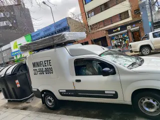 Miniflete Dario