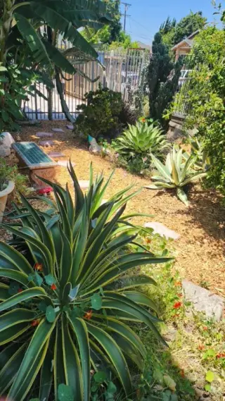 Apartment for rent 2bed/1bath