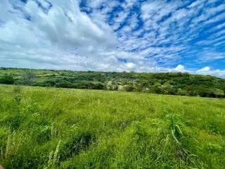 Great & Affordable, Lot A