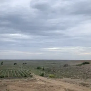 Terreno agrícola en venta – Paiján, La Libertad