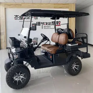 Electric Golf Cart - Perfect for Golf Courses and Neighborhoods