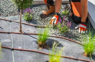 Wolf Hardscaping Designs