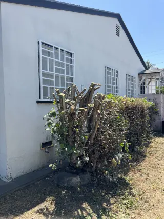 Elegante Puerta de Madera y Metal en Venta