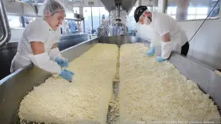 Operador de Maquina-Comida