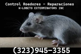 Control Ratones y Reparaciones