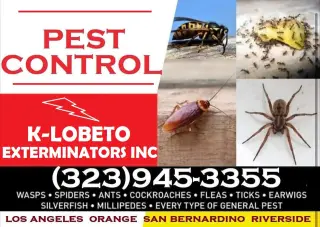EXTERMINADORES CERCA DE USTED.-