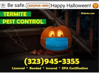 FUMIGACIONES 🦇 🎃 HALLOWEEN  🦇 🎃 24/7.~