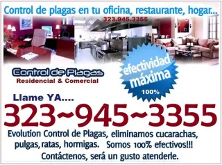 FUMIGACIONES MAYWOOD