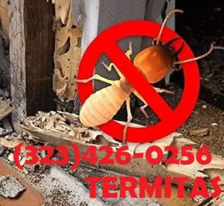 TERMITAS EXTERMINADOR 24/7.-