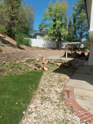 E&T Lawn Maintenance and Tree Trimming