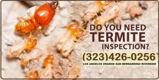 Fumigaciones Termitas Los Angeles