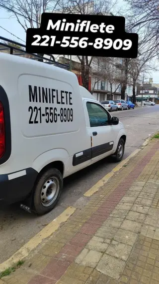 Miniflete Dario