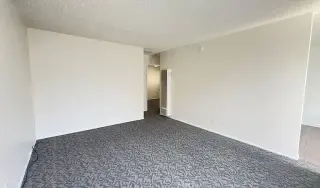 MOVE-IN SPECIAL