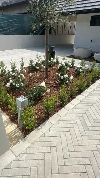 Landscaping y jardineria
