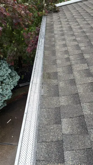 PREMIUM GUTTER CLEANING SERVICES