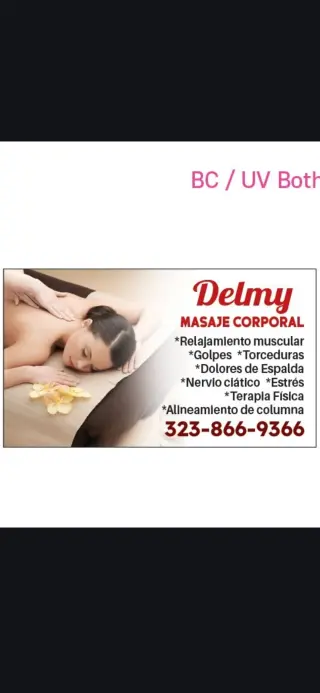 Sobadora y terapista Delmy