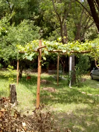 CHALET EN SIERRAS DE CÓRDOBA: SILENCIO, TERRENO, FRUTALES